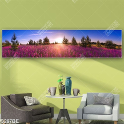 Tranh cánh đồng hoa oải hương in kính bếp