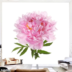 Tranh hoa mẫu đơn in kính bếp