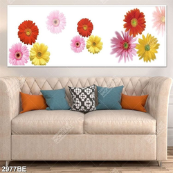 Tranh hoa đồng tiền các loại in kính bếp