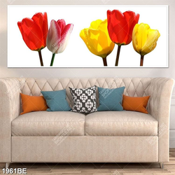 Tranh hoa tulip in kính bếp