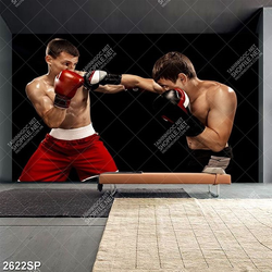 Tranh phong gym hai võ sỹ đấu võ