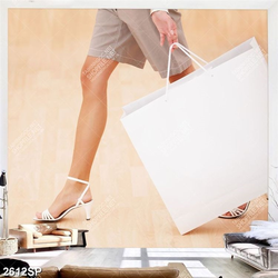 Tranh cô gái cầm túi đồ treo tường spa