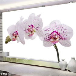 Tranh cành hoa lan trắng treo tường spa