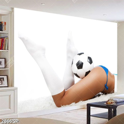 Tranh spa trái bóng nằm trên vòng ba căng tròn