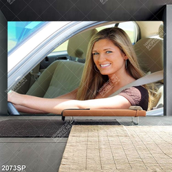 Tranh spa cô gái xinh đẹp lái xe ô tô