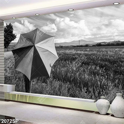 Tranh đen trắng cô gái che dù đứng giữa cánh đồng cỏ treo spa