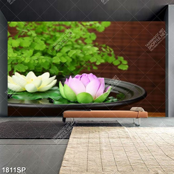 Tranh treo spa hoa sen đẹp