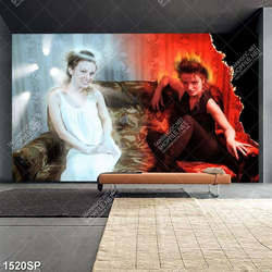 Tranh hai cô gái đối lập