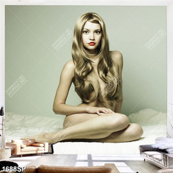 Tranh người mẫu xõa tóc chê đi vòng một treo spa