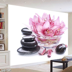 Tranh đẹp treo spa hoa lan và đá