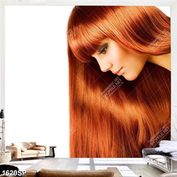 Tranh cô gái với mái tóc dài óng ả nổi bật