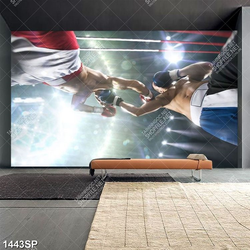 Tranh trận đấu boxing in uv