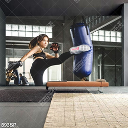 Tranh phong gym spa cô gái tập boxing