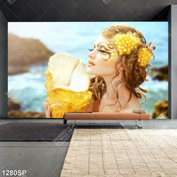 Tranh người mẫu