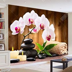 Tranh hoa lan hồ điệp treo spa