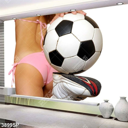 Tranh người đẹp và trái bóng