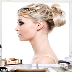 Tranh cô gái với mái tóc đẹp