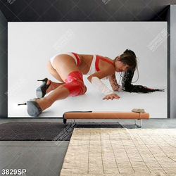 Tranh người mẫu mặc bikini nóng bỏng