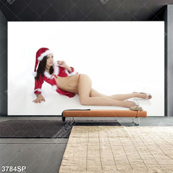 Tranh người đẹp khoe thân hình gợi cảm