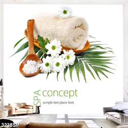 Tranh canvas bông hoa cúc trắng và muối spa