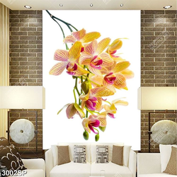 Tranh treo spa nhành hoa lan vàng