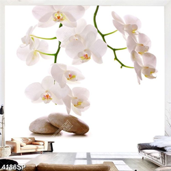 Tranh người đẹp mặc váy khoe chân dài