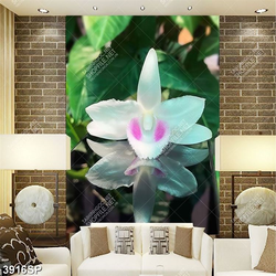 Tranh hoa lan trắng file psd