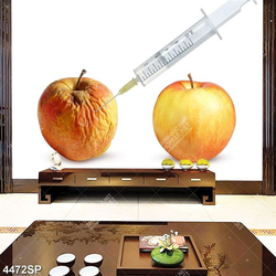 Tranh hai trái táo