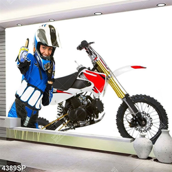 Tranh cô nàng thích tốc độ