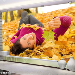 Tranh cô gái nẵm trên thảm lá mùa thu