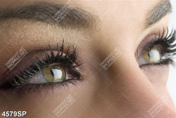 Tranh đôi mắt nâu