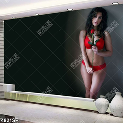Tranh người mẫu nội y treo spa mã số 4821
