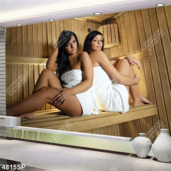 Tranh spa mã số 4815 hai cô gái ngồi trong phòng xông hơi