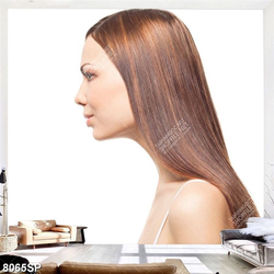 Tranh người đẹp  SP8065