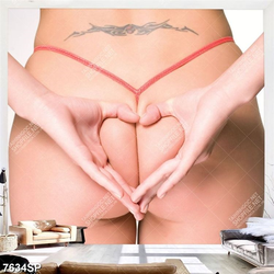 Tranh thân hình gợi cảm SP7634