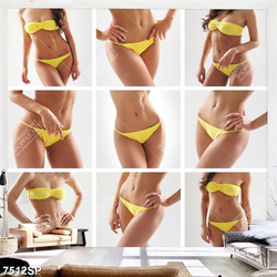 Tranh bộ ghép người mẫu bikini gợi cảm