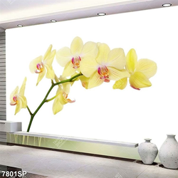 Tranh hoa lan đẹp