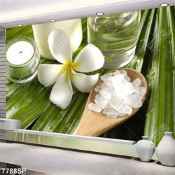 Tranh hoa trắng và muối đá