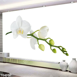 Tranh cành hoa lan trắng SP7040