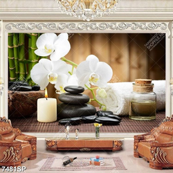 Tranh cành hoa lan trắng