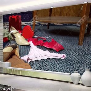 Tranh đôi guốc và nội y gợi cảm