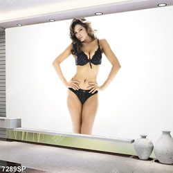 Tranh người mẫu nội y gợi cảm SP7289