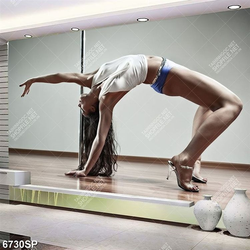 Tranh người mẫu SP6730