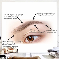 Tranh lông mày phong thủy file gốc