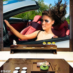 Tranh người mẫu ngồi trong xe ô tô SP6764