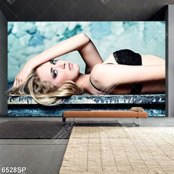 Tranh người mẫu nội y gợi cảm SP6528