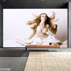 Tranh người mẫu nội y gợi cảm SP6430