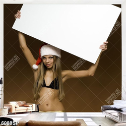 Tranh người đẹp tầm cấm bảng trắng