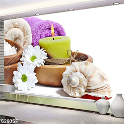 Tranh vỏ sò và bông cúc trắng