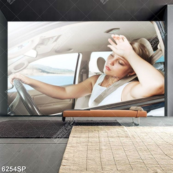 Tranh cô gái ngồi trong xe ô tô SP6254